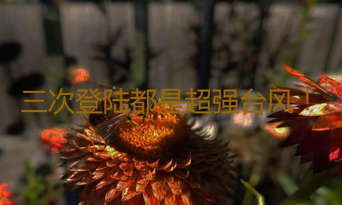 三次登陆都是超强台风!“摩羯”对广东的影响将持续多久?